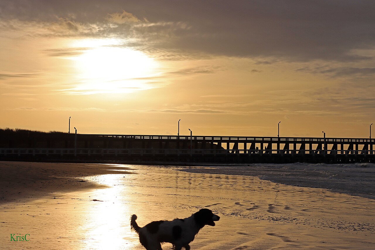 Blankenberge beach